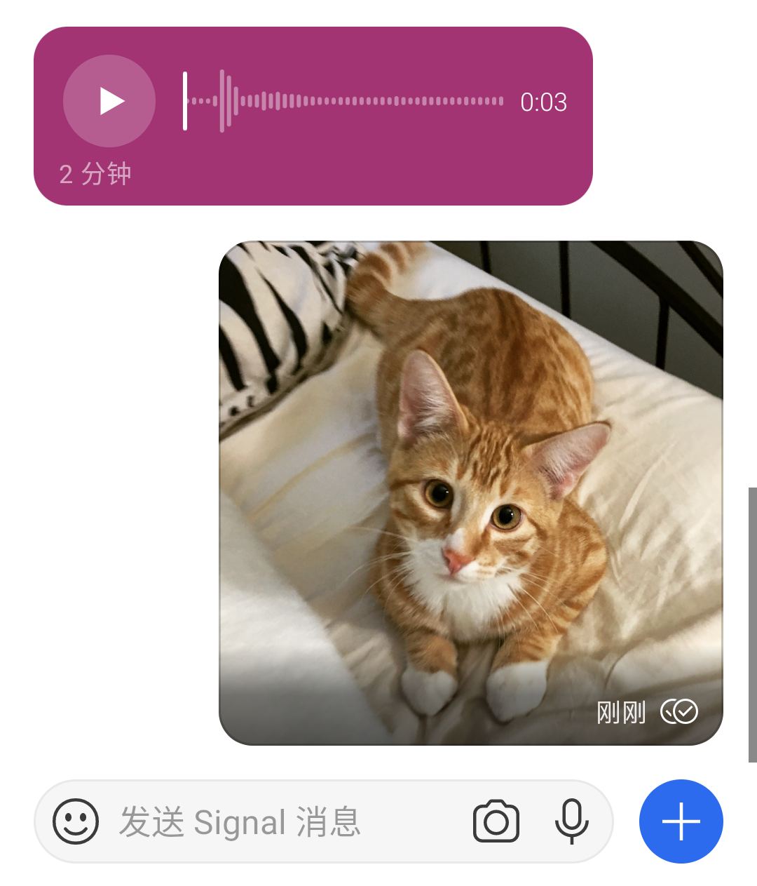 Signal 图片消息